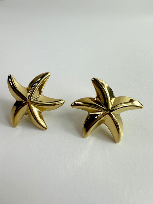 Boucles "Roana"